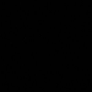 Meet your Posher, Shaye